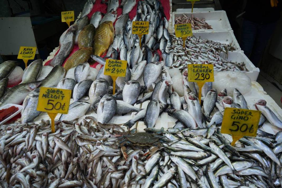 Denize açılan balıkçılar şoke oldu: Mavi tehlike Karadeniz'de! Böylesi ilk kez yaşanıyor 2